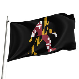 ผ้าโพลีเอสเตอร์แบบสองด้านสำหรับหอพักของเด็กชายทำจากผ้าโพลีเอสเตอร์<span class=keywords><strong>3</strong></span>*5ft100% - Product Image 2