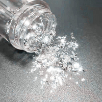 Poudre de paillettes argentées en vrac, Pigment de paillettes de platine pour ombre à paupières, vente en gros