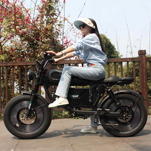 City Bike 1000W Brushless <b>Hub</b> Motor 48V 15Ah Lithium Battery All-Terrain Recreational Long Range Electronic SK-2 - Product Image 2