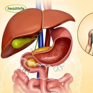 FocusHerb kaynağı 10:1 akasya Catechu kabuğu kök ekstresi, akasya Catechu özü tozu - Product Image 3