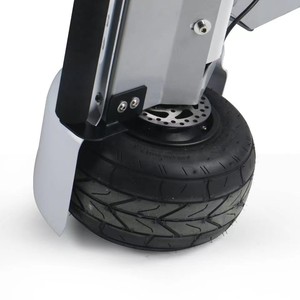 ESWING Golfboard en Oferta, Scooter Eléctrico de 4 Ruedas, Aleación de Aluminio, Pantalla LCD, Carga Máxima 150 kg, Carritos de Golf Eléctricos en Venta - Product Image 4