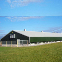 Gallinero Metálico Extra Grande con Certificación CE Lonte CWB, Corral para Aves de Corral