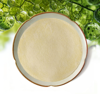 Extracto de Factor de Crecimiento de Chlorella (CGF) en Polvo, Suplemento Superalimento de Algas Verdes CGF