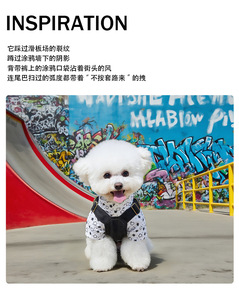 Bestseller Transfrontaliero Estivo per il Ritorno a Scuola: Grazioso Vestito per Cani e Gatti in Denim a Quadri Stile Thai e Britannico - Product Image 3