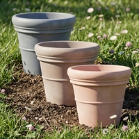 Bonsaï japonais auto-arrosant, pot Moka, 20 pots et jardinières dorées pour extérieur, design transparent