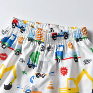 Nuevo Producto Ropa Infantil al por Mayor, Pantalones Cortos de Playa de Algodón con Estampado de Dibujos Animados para Niños en Verano - Product Image 4