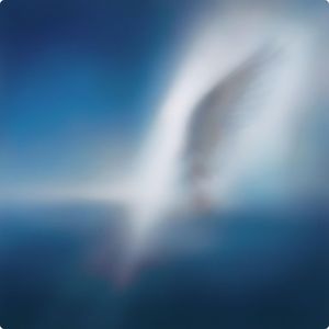 Car the Garden EP Blue Heart K-pop Indie Vinilo Edición Limitada Cantante y Autor Coreano Música Sentimental Analógica Lanzamiento 2023 - Product Image 1