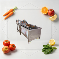 Massaproductie groente- en fruitreinigingsmachine met bubbels, roestvrijstalen constructie, multifunctioneel, nieuw