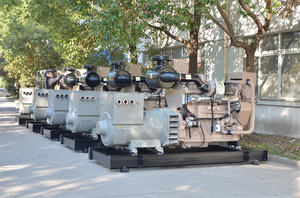 Motor 100KW 150KW 200KW 300KW 400KW 500KW 600KW 700KW 800KW 1000KW Grupo Electrógeno Marino 6CT8.3-GM115 Generador Marino 1000KW - Product Image 1