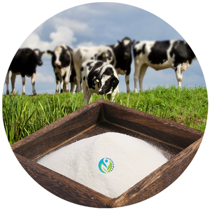 カスタム加水分解牛由来高フィットネス筋肉増強コンバットプラスチックボトル（プロテインパウダー用） - Product Image 1