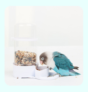 Alimentador automático de plástico ecológico para loros, <span class=keywords><strong>bebedero</strong></span> para cacatúas, tortolitos, pájaros pequeños/medianos, pájaro sólido antiderrames - Product Image 2