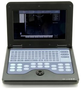 Appareil d'échographie pour la gestation des animaux, pour chiens, usage vétérinaire - Product Image 1