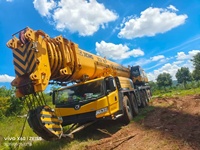 Grue professionnelle de 900 tonnes avec une hauteur de levage maximale de 160 m et un moteur Weichai pour la construction