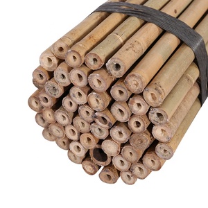 Tonkin-Bastones <span class=keywords><strong>de</strong></span> bambú, 18-20mm x 300cm - Product Image 3