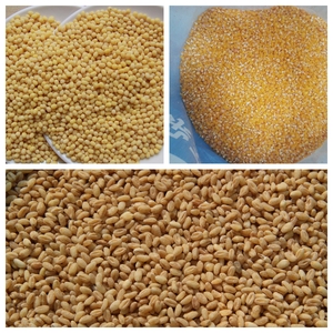 Machine à décortiquer <span class=keywords><strong>les</strong></span> <span class=keywords><strong>haricots</strong></span> multifonctionnelle / Machine à éplucher <span class=keywords><strong>les</strong></span> <span class=keywords><strong>haricots</strong></span> / Machine à peler <span class=keywords><strong>les</strong></span> <span class=keywords><strong>haricots</strong></span> de <span class=keywords><strong>la</strong></span> <span class=keywords><strong>lune</strong></span> pour le Canada - Product Image 5