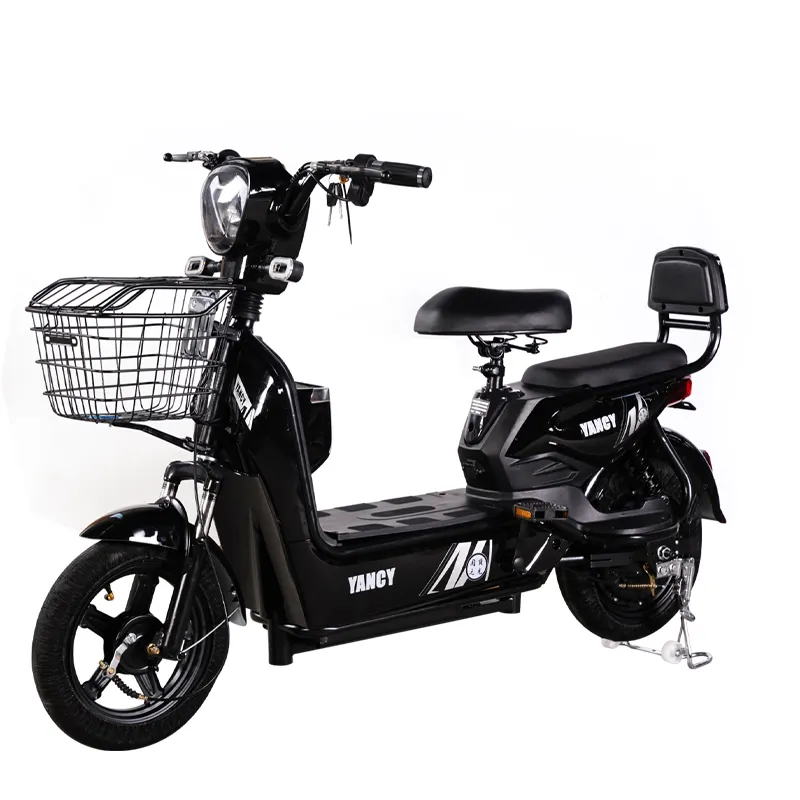 Bicicleta elétrica Easy to Ride, novo modelo, confortável, 2 lugares, 48V12A, bateria de chumbo-ácido, 4 baterias grátis