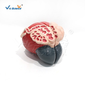3 - Product Image 3
