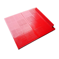 Nouveau tamis de filtre vibrant de panneau d'écran linéaire de polyuréthane d'insertion de déshydratation minière avec la garantie de 6 mois