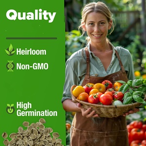 Kit de semis de tomates et <span class=keywords><strong>basilic</strong></span> 100 % non-OGM, variétés anciennes, comprenant Cherry, Roma et Zebra, pour jardinières suspendues en centre commercial - Product Image 6