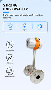 SENTEC FMV813 <b>Flow</b> <b>Meter</b> <b>Flow</b> <b>Meter</b> FMV813 FMV813 - Product Image 5