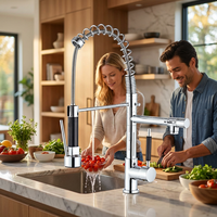 Robinet de cuisine moderne et élégant avec douchette extractible à ressort et double tête de pulvérisation en laiton