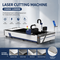 Machine de découpe laser à fibre directe d'usine ISO9001 pour pièces automobiles, tôles métalliques, machine de découpe laser à fibre CNC 3000W