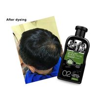 Teinture capillaire semi-permanente à base de plantes, shampooing capillaire noir de riz pour cheveux blancs, Chine, couvre 100% des cheveux blancs, crème de rebondissement, 200 ml + 200 ml