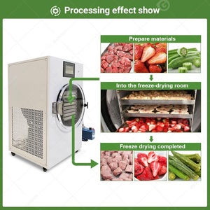 Máquina de Secado de Dulces, Liofilizador de Leche, Liofilizador de Frutas, Secador al Vacío para Frutas y Verduras - Product Image 5