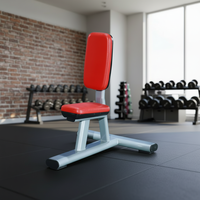 Banc de musculation utilitaire plat réglable, style moderne, entraîneur de sit-up