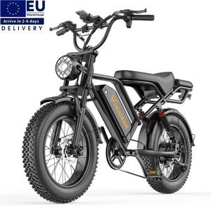 จักรยานไฟฟ้า EU UK Warehouse 20 นิ้ว รุ่น Fatbike 250W ระบบกันสะเทือนเต็มรูปแบบ สไตล์เรโทร HEADEER BK20 ราคาประหยัด สำหรับผู้ใหญ่ ขับขี่ออฟโรดได้ - Product Image 1