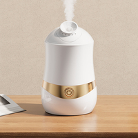 Type d'équipement de beauté Vapeur faciale Vapeur de sauna Vapozone Vapeur faciale d'humidité de peau chaude