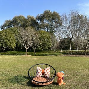 Bestseller Wicker Rattan Premium Katze Erhöhtes Hunde bett Haustier Luxus Sofa Weben Nest Bequemer Lounges essel für andere Haustier betten - Product Image 3