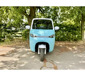 ELION X1t 2024 EEC sertifikalı elektrikli scooter üç tekerlekli bisiklet kapalı yeni enerji elektrikli küçük araba kapalı küçük kapalı motosiklet