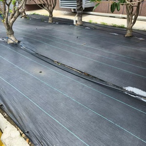 6x300ft 90g noir <span class=keywords><strong>jardin</strong></span> barrière contre les mauvaises herbes tissu PP couvre-sol agricole en plastique <span class=keywords><strong>Anti</strong></span> <span class=keywords><strong>herbe</strong></span> tapis de couverture du sol - Product Image 5