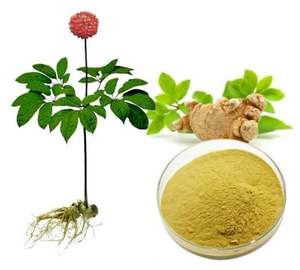 Bubuk Ekstrak Herbal Alami <span class=keywords><strong>Notoginseng</strong></span> dari Huakang Supply Health Food - Product Image 1