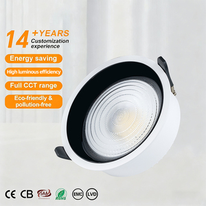 Ce RoHS SAA được phê duyệt siêu sáng chống chói <span class=keywords><strong>Led</strong></span> Downlight 15W 20W 30W COB lõm trong nhà khách sạn Đèn nóng bán cho IP65 đánh giá - Product Image 1