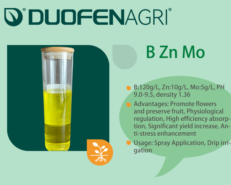Wholesale Liquid Boron Zinc Molybdenum Fertilizer for Legumes image 3