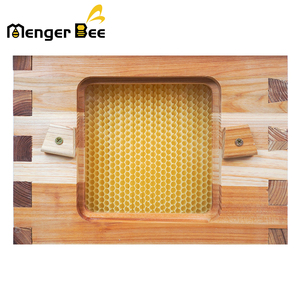 Mỹ nghề nuôi ong Nhà cung cấp cung cấp New Mini chảy <span class=keywords><strong>Hive</strong></span> với khung nhựa hoàn toàn tự động - Product Image 6