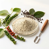 Natuurlijk Zwarte Peper Kruidenextract Poeder Voedingskwaliteit 95% 98% Piperine HPLC Gecertificeerd Oplosmiddelextractie