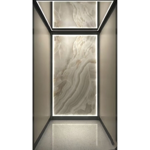 Ascensor de Acero Inoxidable sin Engranajes para Villas <span class=keywords><strong>Unifamiliares</strong></span> de Lujo, con Múltiples Protecciones de Seguridad, Funcionamiento Estable y Espacioso - Product Image 1