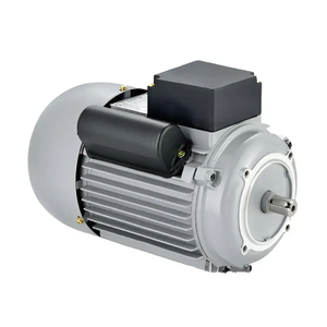 Motor Eléctrico Monofásico de Inducción de Alta Resistencia YC de 0.55kw con Arranque por Condensador de la Mejor Calidad - Product Image 2