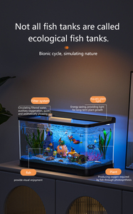 Ecologisch <span class=keywords><strong>aquarium</strong></span> woonkamer klein huishoudelijk bureau landschapsarchitectuur plastic <span class=keywords><strong>aquarium</strong></span> met verlichting en drie-in-één filtratie - Product Image 3