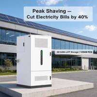 Gabinete de Almacenamiento de Energía Exterior Todo en Uno de 261 kWh y 125 kW con Batería LiFePO4 de 314 Ah para Microredes y Energía Comercial