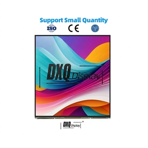 Pantalla OLED a Color de 12.8 Pulgadas con Resolución 1728x1888, Controlador IC HX8160-G01, Interfaz LVDS, Módulos de Pantalla AMOLED de 12.8 Pulgadas, Alta Frecuencia de Actualización - Product Image 1