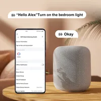 Disjoncteur intelligent Wi-Fi 1P+N avec boîtier moulé, protection contre les surtensions/surintensités/surpuissances, contrôle vocal à distance
