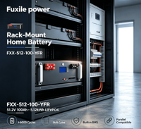 Fuxile FXX-512-100-YFR Baterai Penyimpanan Energi Surya Rumah Tangga LiFePO4 51.2V 100Ah yang Dipasang di Rak dengan BMS 5-10kW CAN/RS485/RS232