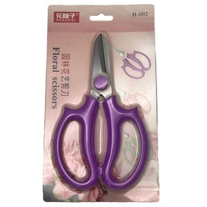 Cisailles à fleurs en acier inoxydable, cisailles <span class=keywords><strong>de</strong></span> jardinage, cisailles pour fleuristes, outils <span class=keywords><strong>de</strong></span> paysagisme et <span class=keywords><strong>de</strong></span> bonsaï, coupe-branches, cisailles à roses - Product Image 6