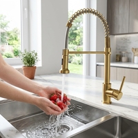 Robinet de cuisine moderne en acier inoxydable 304 à poignée unique et douchette extractible, à montage sur plan.