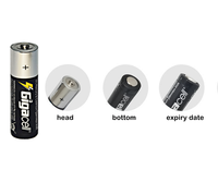 Pile alcaline AA 1,5 Volt haute performance, idéale pour les manettes de console et les jouets
