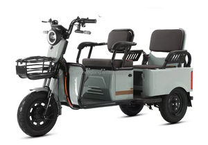 Nouveauté 2026, Vente Chaude, Direct Usine : Scooter Électrique Passager à Double Siège 800W, Tricycle <span class=keywords><strong>Taxi</strong></span>, Scooter pour Personnes Âgées, En Promotion - Product Image 4